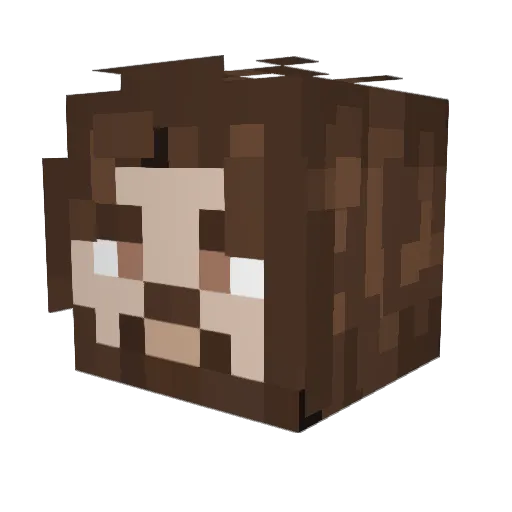 Karim9111 Minecraft avatar head, 3D render