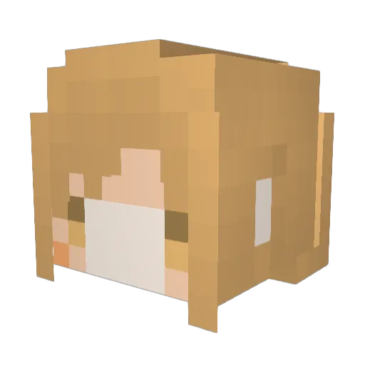 Karin128 Minecraft avatar head, 3D render