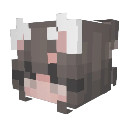 KarinaLover66 Minecraft avatar head, 3D render