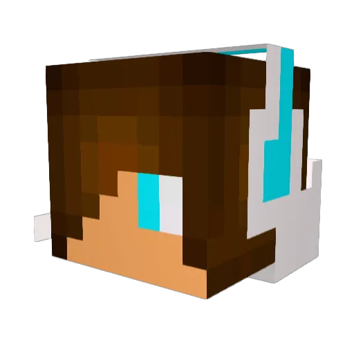 KarioWan Minecraft avatar head, 3D render