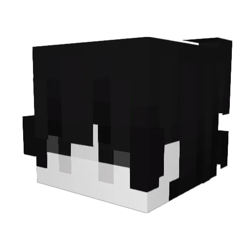 Kariosae Minecraft avatar head, 3D render