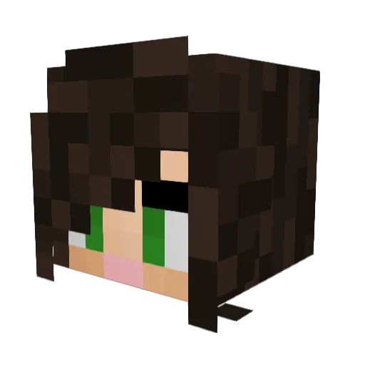 Karis__ Minecraft avatar head, 3D render