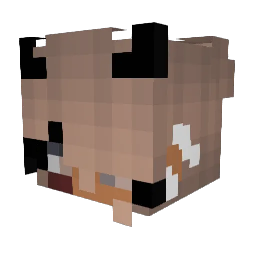 Karisma_XD Minecraft avatar head, 3D render