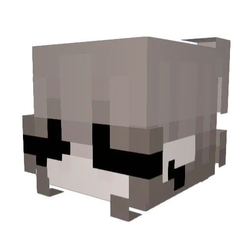 KarissaBalls Minecraft avatar head, 3D render