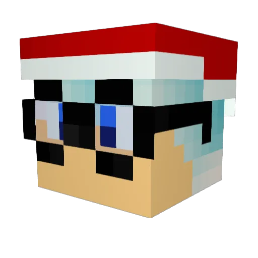 Karl1142 Minecraft avatar head, 3D render