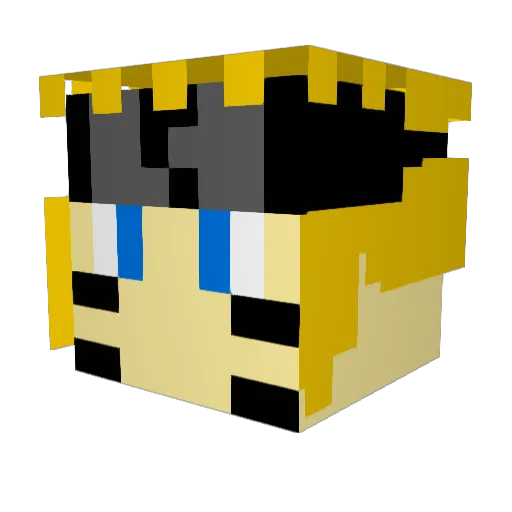 Karl9876 Minecraft avatar head, 3D render