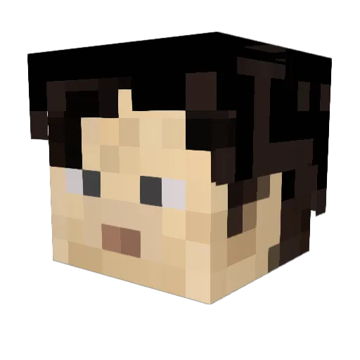 KarlXII Minecraft avatar head, 3D render