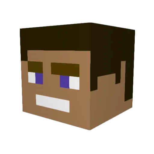 Karlbergarn Minecraft avatar head, 3D render