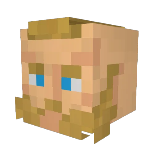 Karlbi Minecraft avatar head, 3D render