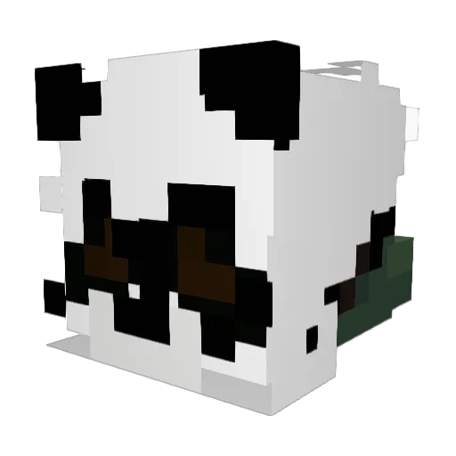 Karlforce11 Minecraft avatar head, 3D render