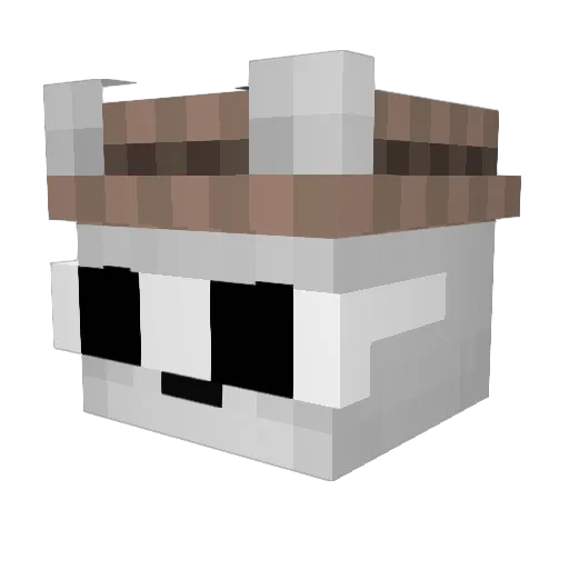KarliKulumbus Minecraft avatar head, 3D render