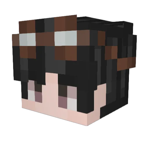 Karlin71 Minecraft avatar head, 3D render