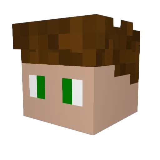 Karlos7251 Minecraft avatar head, 3D render