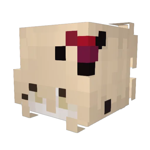 Karlyy_ Minecraft avatar head, 3D render