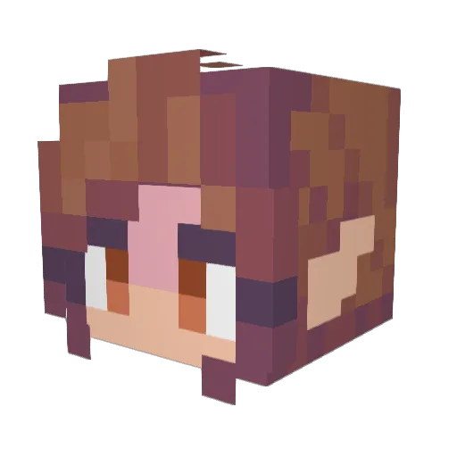Karma21 Minecraft avatar head, 3D render