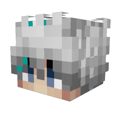 KarmaG52 Minecraft avatar head, 3D render