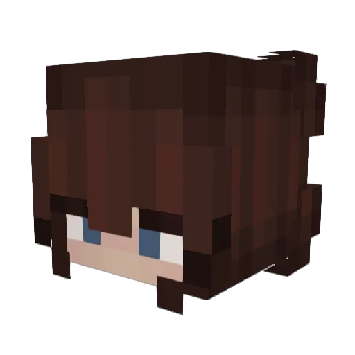 KarmaLlama82 Minecraft avatar head, 3D render