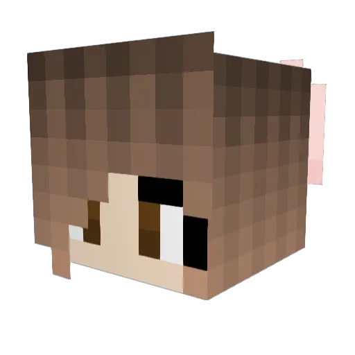 KarmaStaticPanda Minecraft avatar head, 3D render