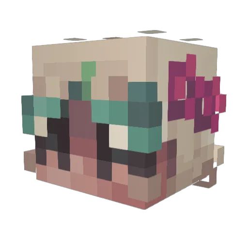 Karma_3103 Minecraft avatar head, 3D render