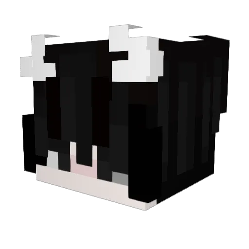 Karma_Union Minecraft avatar head, 3D render