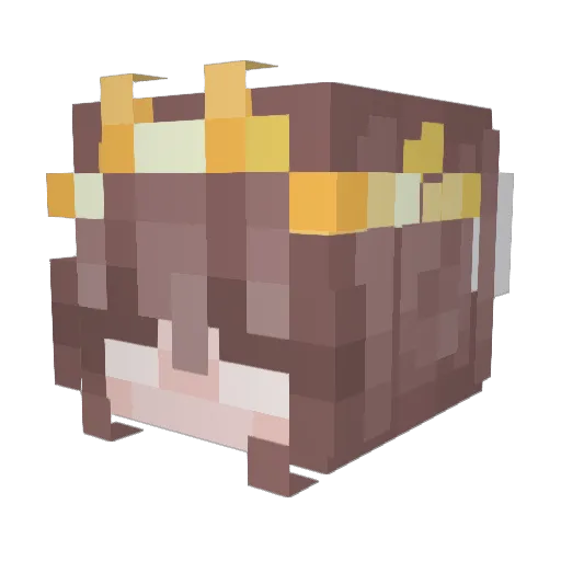 Karma_b4e Minecraft avatar head, 3D render