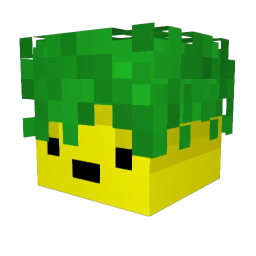 Karmetal Minecraft avatar head, 3D render
