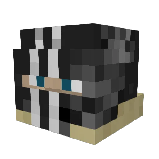 KarmicSpoon230 Minecraft avatar head, 3D render