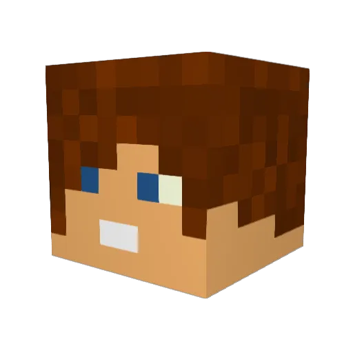 Karnaag Minecraft avatar head, 3D render