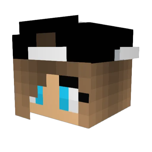 Karo950 Minecraft avatar head, 3D render