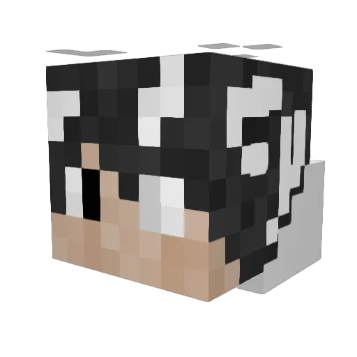 KarolB2011 Minecraft avatar head, 3D render
