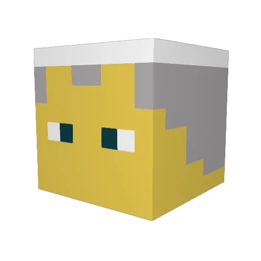 Karol_Wojtek Minecraft avatar head, 3D render