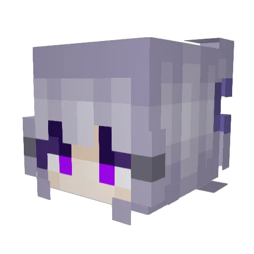 Karoleus_pl Minecraft avatar head, 3D render