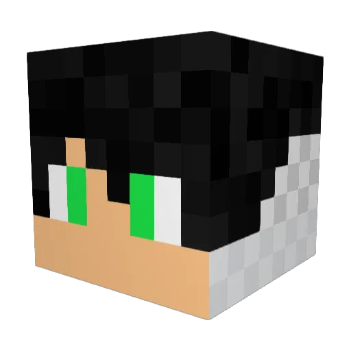 KarolyS Minecraft avatar head, 3D render