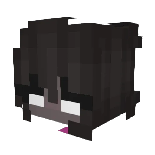 Karox25 Minecraft avatar head, 3D render