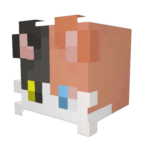 KarpXer Minecraft avatar head, 3D render