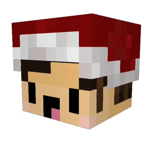 Karpfenfischer Minecraft avatar head, 3D render