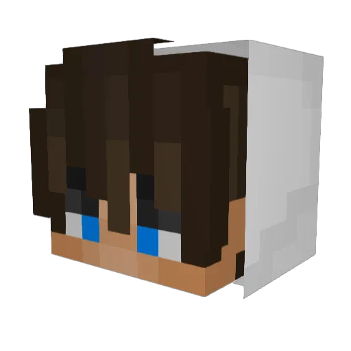 Karpiu22 Minecraft avatar head, 3D render