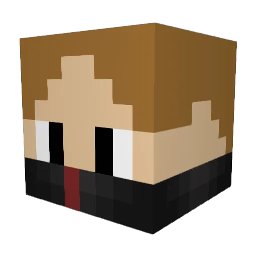 Karppitt Minecraft avatar head, 3D render