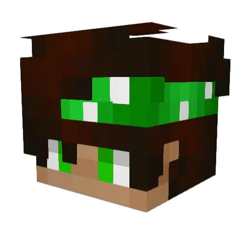 KarpuzcukBaran Minecraft avatar head, 3D render