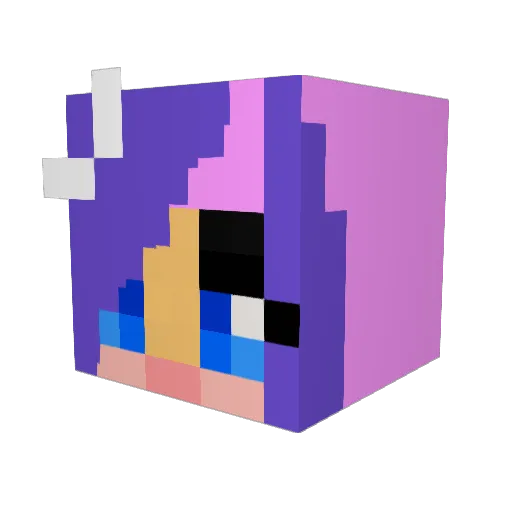 Karri1245 Minecraft avatar head, 3D render