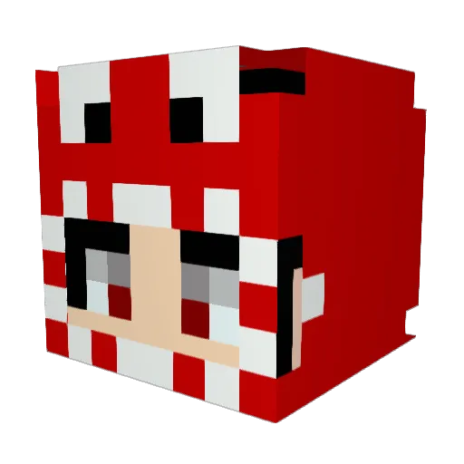 Karry243 Minecraft avatar head, 3D render