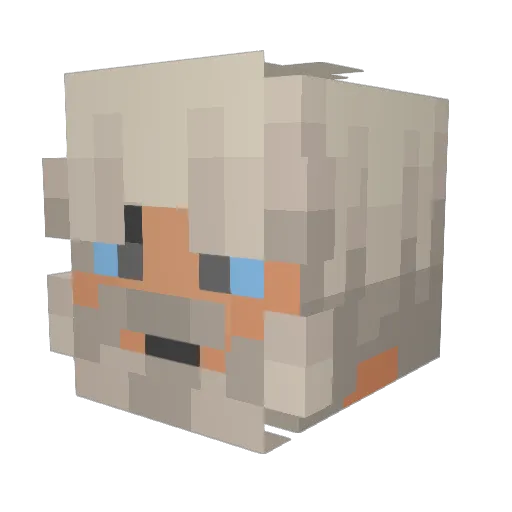 Karsis369 Minecraft avatar head, 3D render