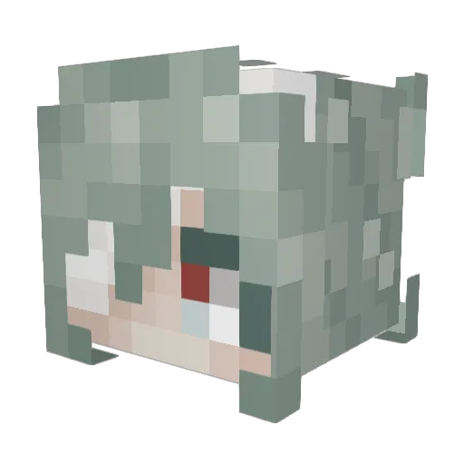 Kartofel24724 Minecraft avatar head, 3D render