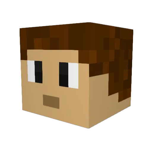Kartoffelbauer01 Minecraft avatar head, 3D render