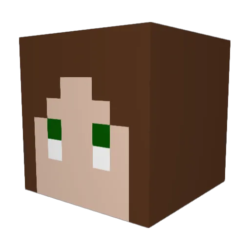 Kartoshka_98 Minecraft avatar head, 3D render