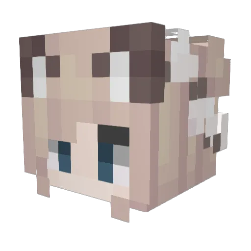 Karuna79 Minecraft avatar head, 3D render