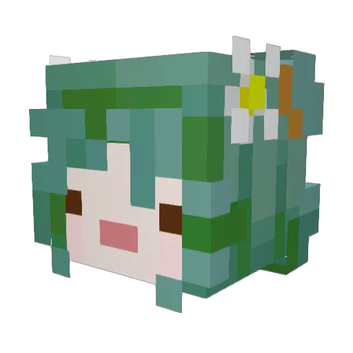 Karus27 Minecraft avatar head, 3D render