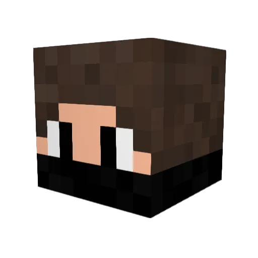 KarySKR Minecraft avatar head, 3D render