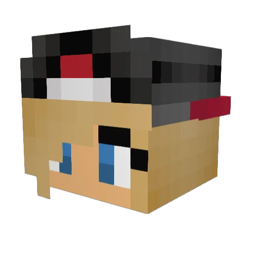 Karytch3228 Minecraft avatar head, 3D render