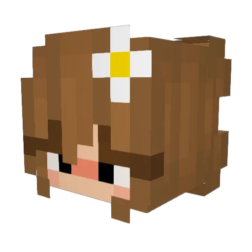 Kasa8 Minecraft avatar head, 3D render